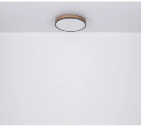 Globo 416080WD1R - LED Stropné svietidlo DORO LED/12W/230V pr. 30 cm