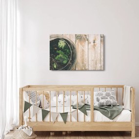 Obraz sukulentov v skle (90x60 cm)