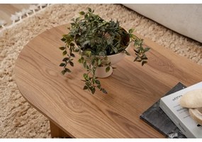 Konferenčný stolík OVAL 60x120 cm hnedá