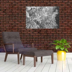 Obraz - Smrekový les (90x60 cm)