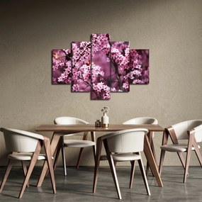 Obraz - Ružová sakura (150x105 cm)