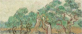 Obraz - Vincent van Gogh, The Olive Orchard, reprodukcia (120x50 cm)