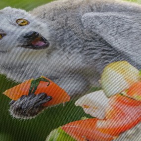 Obraz lemura (120x50 cm)