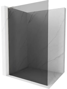 Mexen Kioto L, sprchová zástena Walk-In 80 x 200 cm, 8mm šedé sklo, brúsená oceľ profil, 800-080-103-97-40
