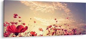 Obraz - Lúka s kvetmi (120x50 cm)