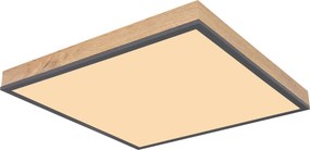 XXXLutz STROPNÉ LED SVIETIDLO, 45/45/6.5 cm Globo - Online Only bytové doplnky - 004558359012