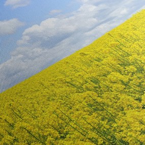 Obraz žltého poľa (120x50 cm)