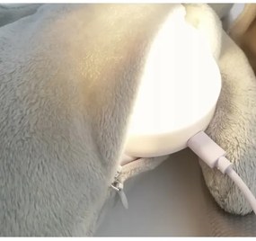 Moonie - Uspávačik s melódiou a svetlom medvedík silver