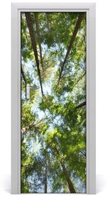 Fototapeta na dvere samolepiace koruna stromov 75x205 cm