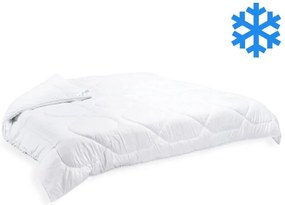 Brotex Prikrývka Thermo 240x200cm zimná 2880 g (600g/m2)