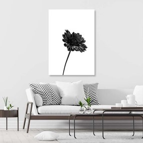 Obraz na plátně Květiny Příroda Černá Bílá - 80x120 cm
