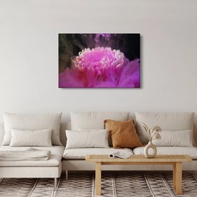 Obraz kvetiny v ružovom dyme (90x60 cm)