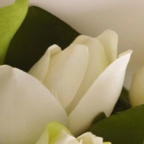 Ozdobný paraván Bílé tulipány Květiny - 180x170 cm, päťdielny, obojstranný paraván 360°