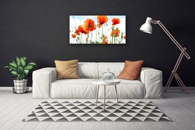 Obraz Canvas Kvety maky lúka pole príroda 120x60 cm