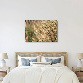 Obraz - Obilie (90x60 cm)