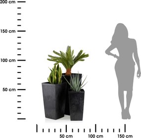 PLASTOVÝ KVETINÁČ PORTO SADA 3KS 67,7X35 CM+46,5X25 CM+57X30 CM IMITÁCIA BETÓNU ČIERNA