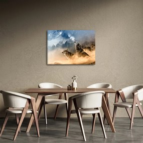 Obraz - vlci vyjúci na mesiac (70x50 cm)