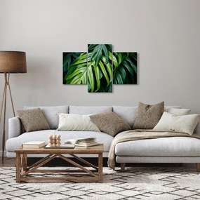 Obraz - Tropické listy (90x60 cm)