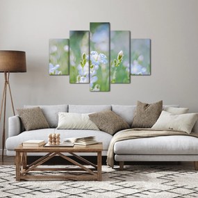 Obraz - Jemné kvety (150x105 cm)