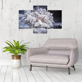 Obraz - Snehobiely strom (90x60 cm)