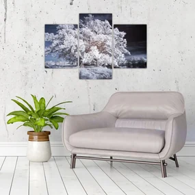 Obraz - Snehobiely strom (90x60 cm)