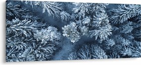 Obraz - Zasnežený les (120x50 cm)