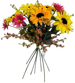 Kytica slnečnica, gypsophila, dvojtvárka, v. 48 cm