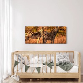Obraz zebier (120x50 cm)