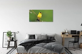 Obraz na plátne žltý papagáj 100x50 cm