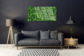 Obraz na skle Tráva trávnik 140x70 cm