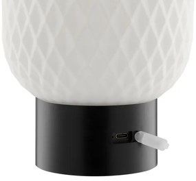 Brilliant - LED RGB stmievateľná nabíjacia dotyková stolová lampa SARASTRO LED/3W/5V 2700K IP44