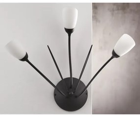 Jupiter 2059 - Nástenné svietidlo GLORIOSA 3xG9/14W/230V čierna