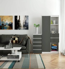 Komoda CL5 so zásuvkami 40 x 92 cm bielo-šedá