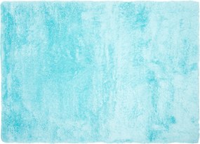 TA Koberec MODRÉ VTÁČIE PIERKO