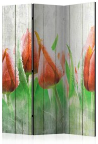 Artgeist Paraván - Red tulips on wood [Room Dividers]