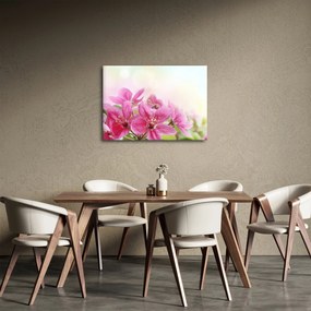 Obraz - Ružové kvety (70x50 cm)