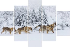 Obraz - Vlci v horách (150x105 cm)