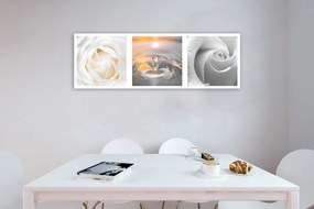 Obraz na plátně Bílé růže Květiny Panorama - 150x50 cm