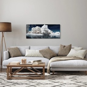Obraz - Snehobiele stromy (120x50 cm)