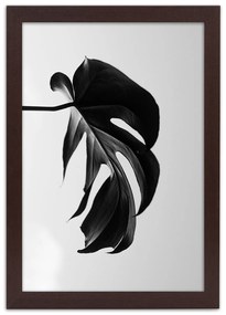 Gario Plagát Čierna a biela monstera list Farba rámu: Hnedá, Rozmery: 30 x 45 cm