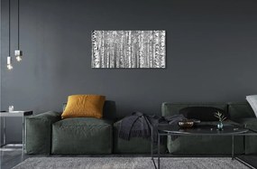 Sklenený obraz Čierna a biela strom 140x70 cm