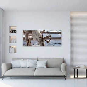 Obraz - Sob (120x50 cm)