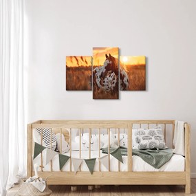 Obraz - Kôň pri západe slnka (90x60 cm)