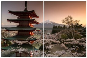 Obraz na plátne - Pohľad na horu Fuji  161D (120x80 cm)