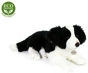 Eco-Fiendly Rappa pes Border kolie ležící 45 cm