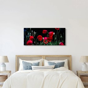 Obraz - Tanec vlčích makov (120x50 cm)