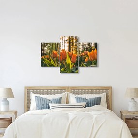 Obraz - oranžové tulipány (90x60 cm)