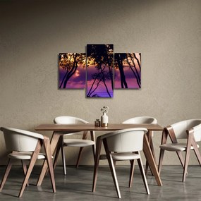 Obraz - Stromy pri západe slnka (90x60 cm)