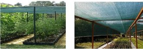 Tieniaca sieťka s 90% zatienením 135g/m2 1,2m x 50m