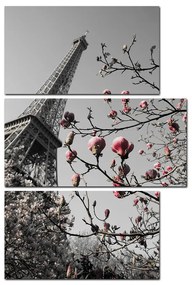 Obraz na plátne - Eiffelova veža v jarnom období - obdĺžnik 734ČC (120x80 cm)